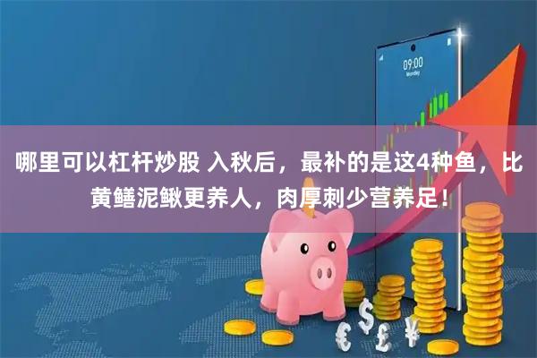 哪里可以杠杆炒股 入秋后，最补的是这4种鱼，比黄鳝泥鳅更养人，肉厚刺少营养足！
